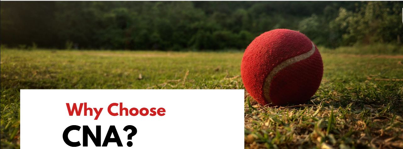 Cricket Ball on Ground